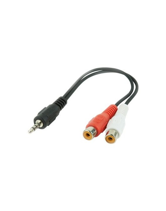 3,5mm to 2x RCA 0.2m 3,5mm to 2x RCA 0.2m