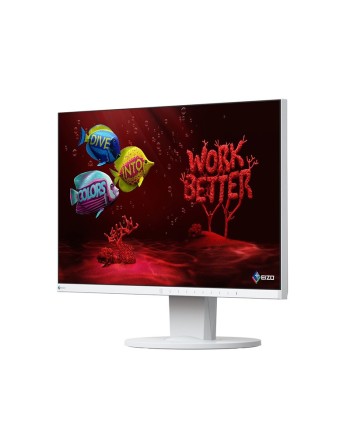 24" Eizo FlexScan EV2450